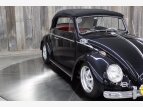 Thumbnail Photo 9 for 1964 Volkswagen Beetle
